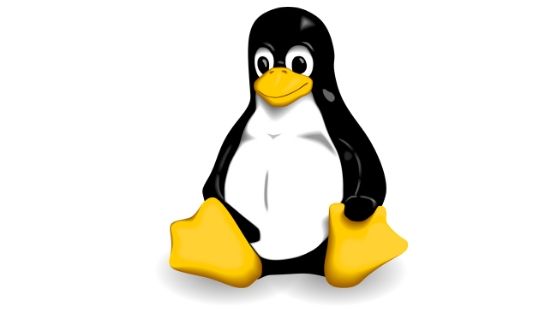 Hosting with Linux