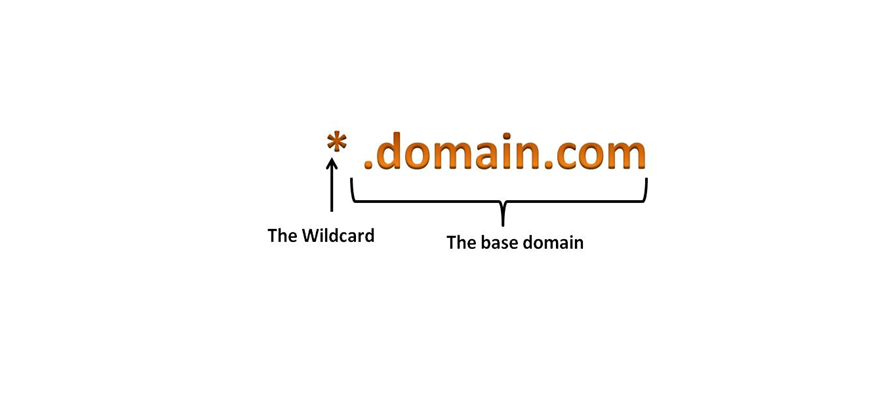 The types of domain and sub-domain Wildcard SSL can secure