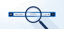 A Complete Guide to Domain Search