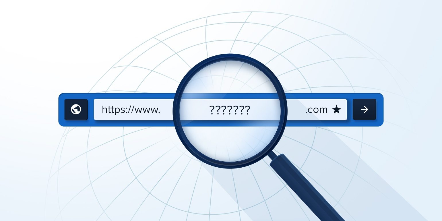 A Complete Guide to Domain Search