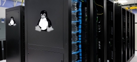 Linux Shared Hosting Service