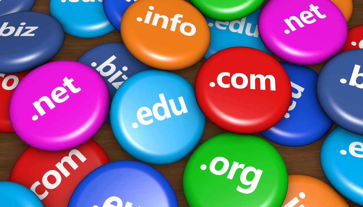 Understand a Domain Name